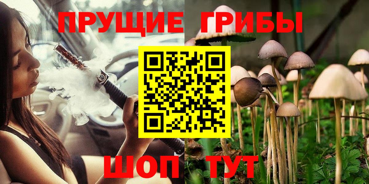 Конаково  магазин продажи наркотиков  Вход с VPN  Галлюциногенные грибы Psilocybine cubensis 