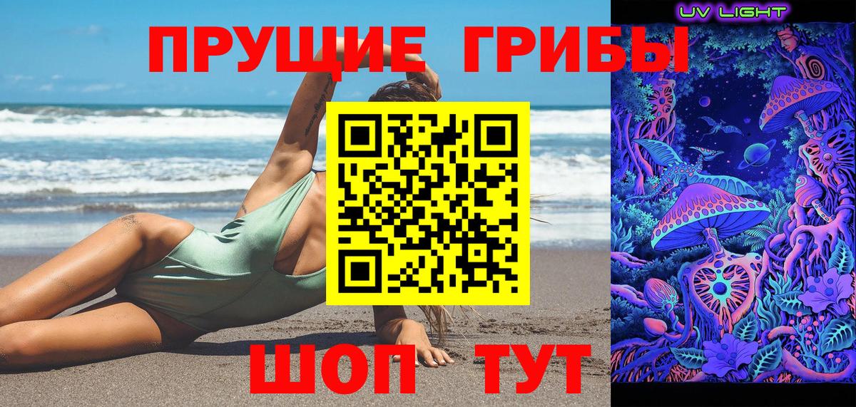 Псилоцибиновые грибы Psilocybe Конаково